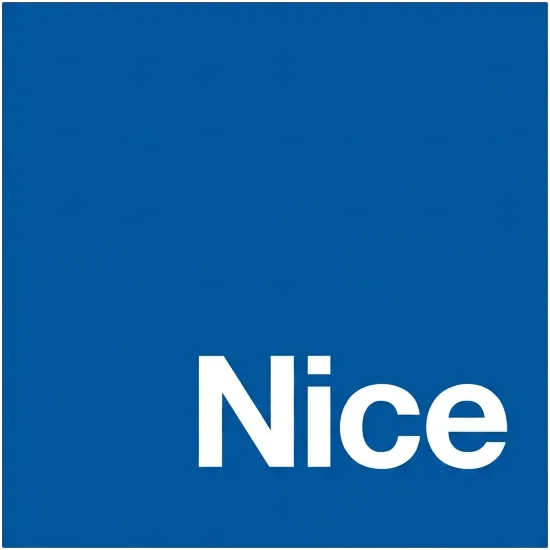 Nice